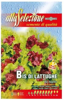 „„SALATĂ DE TĂIAT BIS DI LATTUGHE