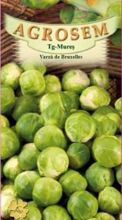 „„Varză de Bruxelles -Agrosem