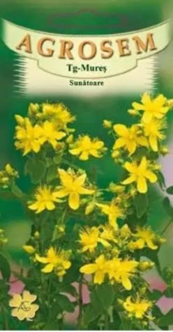 SUNĂTOARE -Agrosem Tg.Mures