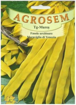Fasole MERAVIGLIA DI VENEZIA (A GRANE NERO)/ MINUNEA VENEȚIEI UNTOASĂ (AGROSEM) 40g