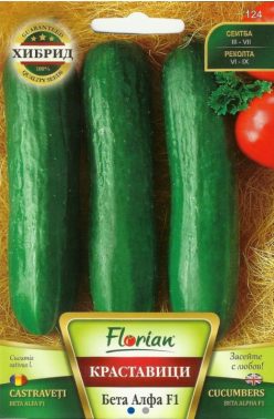 „CASTRAVETI BETA ALFA F1 (FLORIAN)