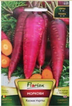 MORCOVI PURPLE (FLORIAN Bg.)