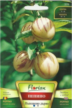 PEPINO-PEPENE GALBEN DE COPAC (FLORIAN-Bulgaria)