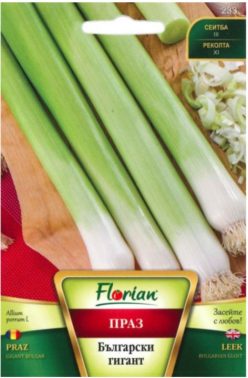 PRAZ BULGARIAN GIANT (2g.) (FLORIAN )