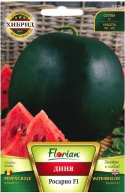PEPENE ROSU HIBRID ROSARIO F1 (FLORIAN-Bulgaria)