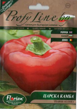 GOGOSARI SOI TARSKA KAMBA/(FLORIAN)