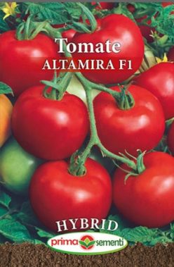 ALTAMIRA F1 (PRIMA SEMENTI)