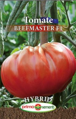 „BEEFMASTER F1 (PRIMA SEMENTI)