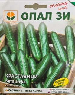 CASTRAVETI BETA ALPHA (Opal ZI-Bulgaria) (2g) /CASTRAVETI LIBANEZI/CASTRAVETI PERSANI