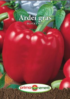 ARDEI GRAS BLOCKY RED (PRIMA SEMENTI)