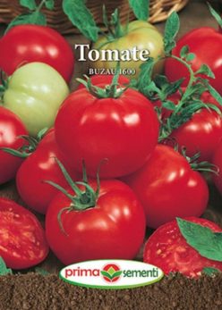 BUZĂU 1600 (PRIMA SEMENTI)