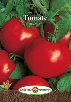 BUZĂU 47 (PRIMA SEMENTI)