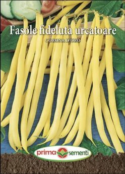 FASOLE URCATOARE FIDELUTĂ CORONA D'ORO (PRIMA SEMENTI) (10g)