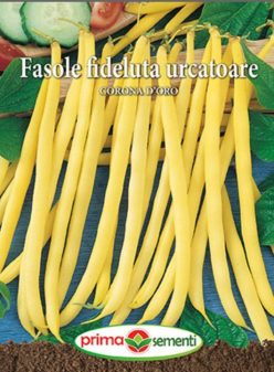 FASOLE URCATOARE FIDELUTĂ CORONA D'ORO (PRIMA SEMENTI) (10g)