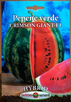PEPENE VERDE CRIMSON GIANT F1 (PRIMA SEMENTI)
