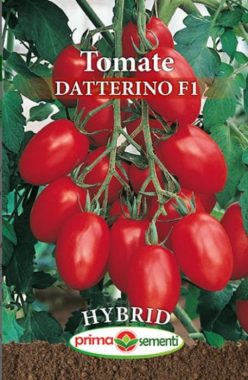 „„DATTERINO F1 (PRIMA SEMENTI)
