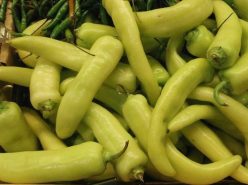 „„ARDEI ELEFANTORMANY (NEIUTE) (25S)