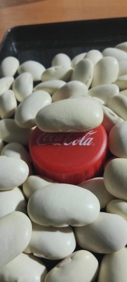 FASOLE PENTRU BOABE EUREKA -ZKI