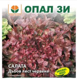 SALATĂ DE TĂIAT FRUNZE DE STEJAR ROSIE (Opal ZI-Bulgaria) (2g)