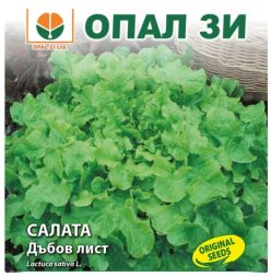 SALATĂ DE TĂIAT FRUNZE DE STEJAR VERDE (Opal ZI-Bulgaria) (2g)