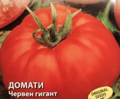 „GIGANT ROSU (OPAL ZI-BULGARIA,) (30s)