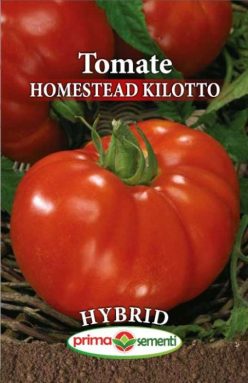 HOMESTEAD KILOTTO F1 (PRIMA SEMENTI)