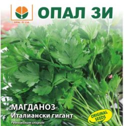 PĂTRUNJEL DE FRUNZE GIGANT ITALIAN (Opal ZI-Bulgaria) (10g)