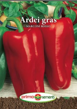 ARDEI MARCONI ROSSO (PRIMA SEMENTI)