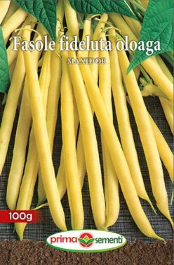 „„FASOLE PITICĂ MAXIDOR (PRIMA SEMENTI) (100g)