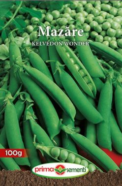 MAZĂRE KELVEDON WONDER (PRIMA SEMENTI) (100g)