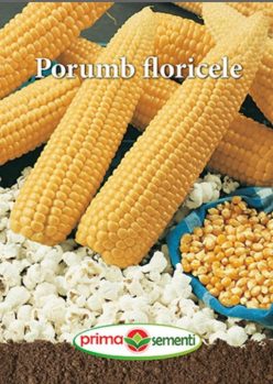 PORUMB PENTRU FLORICELE POPCORN (PRIMA SEMENTI)