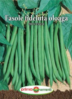 FASOLE VERDE PROCESSOR (PRIMA SEMENTI) (100g)