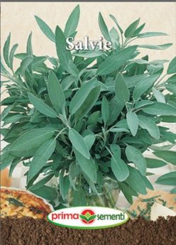SALVIE (PRIMA SEMENTI)