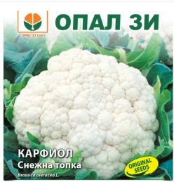 CONOPIDĂ SNOWBALL (Opal ZI-Bulgaria) (5g)