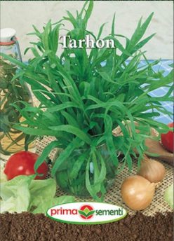 TARHON (PRIMA SEMENTI)