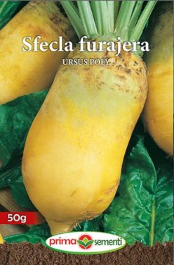 SFECLĂ FURAJERĂ URSUS POLY (PRIMA SEMENTI) (50g)