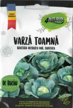 VARZĂ DE BUZĂU DE TOAMNĂ ( 4 AGRO ROMANIA) 10g