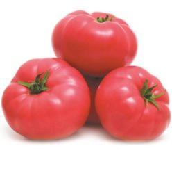 MEI SHUAI F1-Seminis