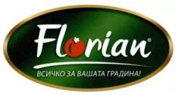 TOMATE BULGARIA-FLORIAN-OPAL-GEOSEM