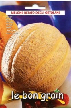 Pepeni galbeni RETATO DEGLI ORTOLANI