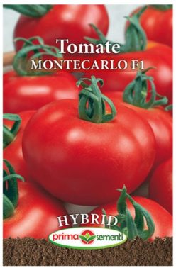 MONTECARLO F1 (PRIMA SEMENTI)