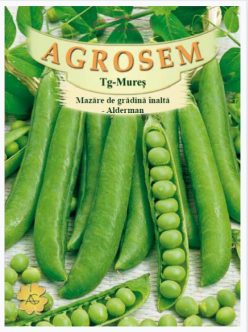 Mazăre urcătoare înaltă ALDERMAN (80g)