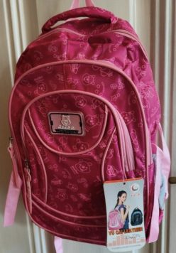 Ghiozdan cu 3 compartimente