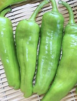 ARDEI USOR IUTE Friariello Nocera-Fratelli Ingegnoli-Italia