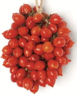 _PENSUVIO F1 (Fratelli Ingegnoli-Italia)