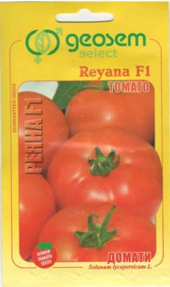 REYANA F1 (Geosem-Bulgaria) 50s