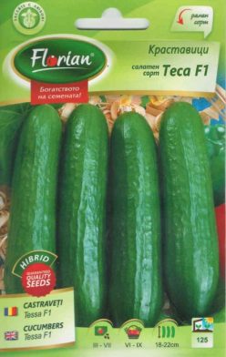 CASTRAVETI TESA F1 (FLORIAN) (1g)