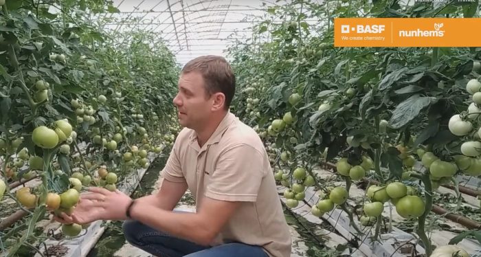 GRIPHON F1 (NUNHEMS-BASF) - imagine 5