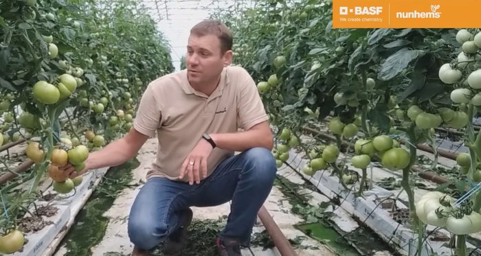 GRIPHON F1 (NUNHEMS-BASF) - imagine 2