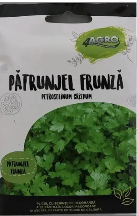 PĂTRUNJEL DE FRUNZE ITALIAN GIANT (Patru Agro) (5g)